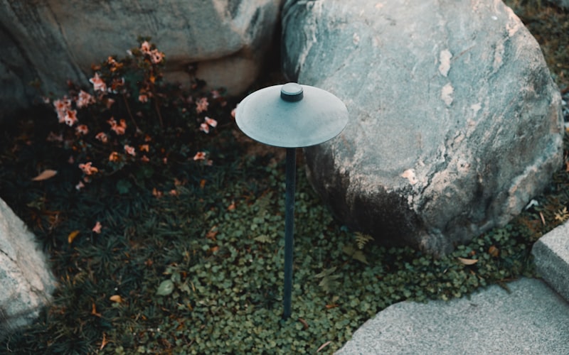 Professional landscape path lighting in garden